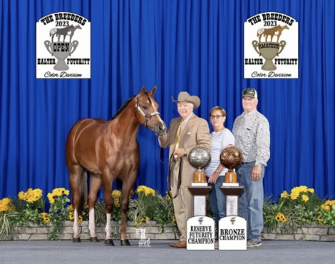 HorseID: 2310414 Good soup - PhotoID: 1095074