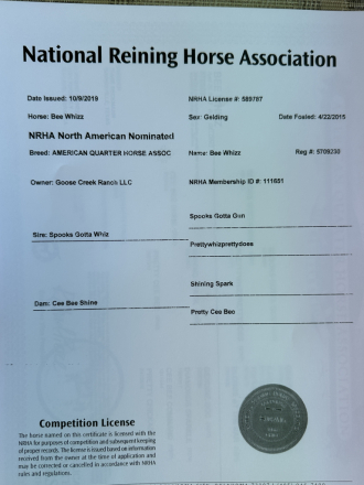 HorseID: 2310449 Bee Whiz - PhotoID: 1095107