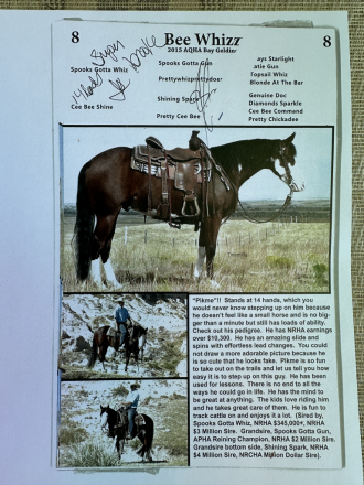 HorseID: 2310449 Bee Whiz - PhotoID: 1095122