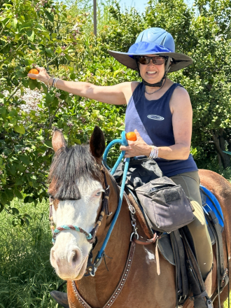 HorseID: 2310449 Bee Whiz - PhotoID: 1095123