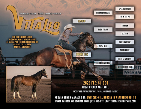 HorseID: 2310468 In Utero - PhotoID: 1095128