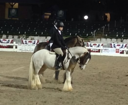 HorseID: 2310527 GB Ojo The Lucky - PhotoID: 1095238