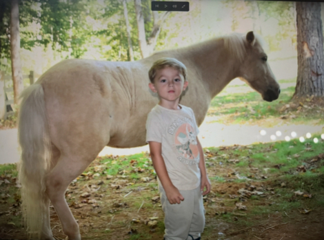 HorseID: 2310552 Thunder - PhotoID: 1095184