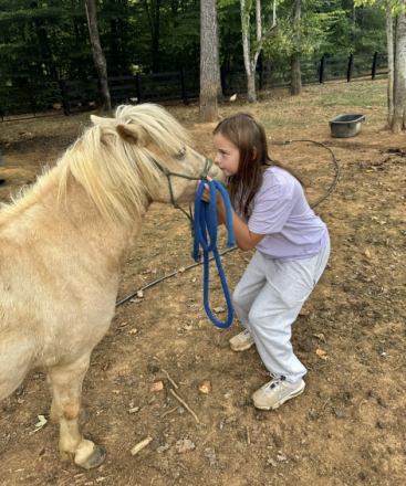 HorseID: 2310552 Thunder - PhotoID: 1095185