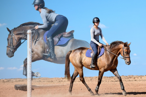 HorseID: 2310563 Sazon - PhotoID: 1095193