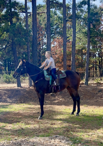 HorseID: 2310563 Sazon - PhotoID: 1095195
