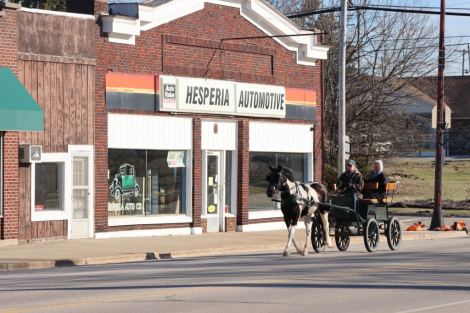 HorseID: 2310565 Verde - PhotoID: 1095203