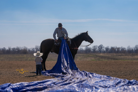 HorseID: 2310572 Jones - PhotoID: 1095211