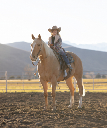 HorseID: 2310577 Mr. Sporty - PhotoID: 1095214