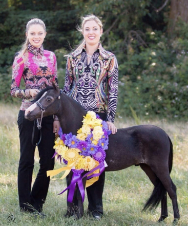 HorseID: 2310582 LM Idols Hawks Couture - PhotoID: 1095221