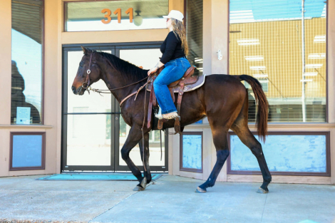 HorseID: 2310606 Rocket - PhotoID: 1095248