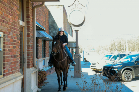 HorseID: 2310606 Rocket - PhotoID: 1095250