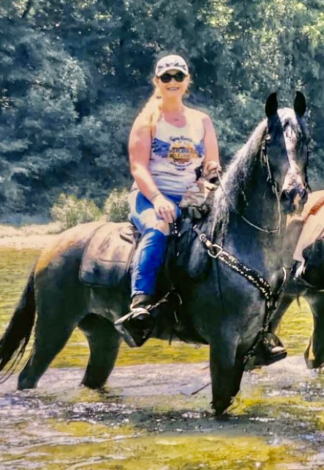 HorseID: 2310623 LIttle Joe - PhotoID: 1095267