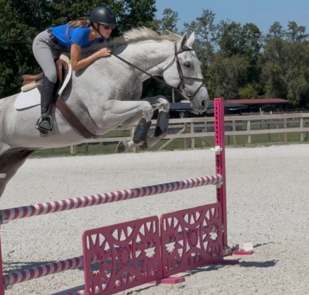 HorseID: 2310633 Duvalin Dream - PhotoID: 1095271
