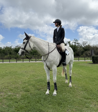 HorseID: 2310633 Duvalin Dream - PhotoID: 1095273