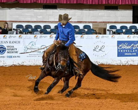 HorseID: 2310650 Commandalenas Legacy - PhotoID: 1095294