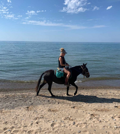 HorseID: 2310652 JFF Pickles - PhotoID: 1095296