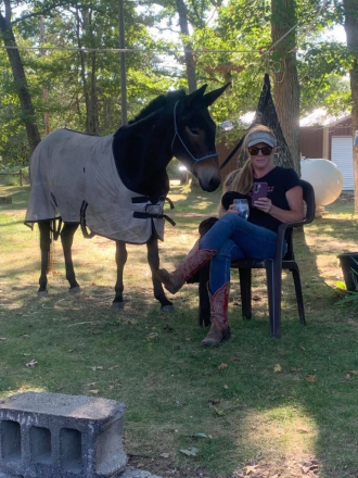 HorseID: 2310652 JFF Pickles - PhotoID: 1095297