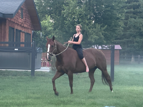 HorseID: 2310659 Peppys Rockin Dora - PhotoID: 1095305