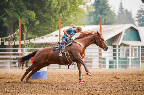 HorseID: 2310659 Peppys Rockin Dora - PhotoID: 1095306