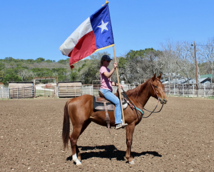 HorseID: 2310664 TECH IM FRENCH - PhotoID: 1095325