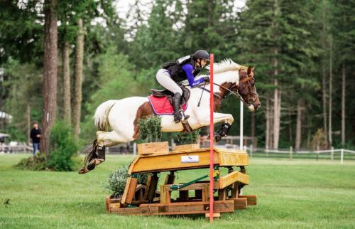 HorseID: 2310671 Francesco - PhotoID: 1095334