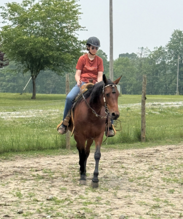 HorseID: 2310690 Bonafide Barnfly - PhotoID: 1095365