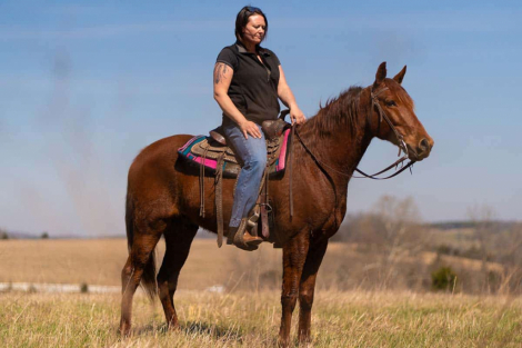 HorseID: 2310720 Playboys Remedy Handsome Devil - PhotoID: 1095396