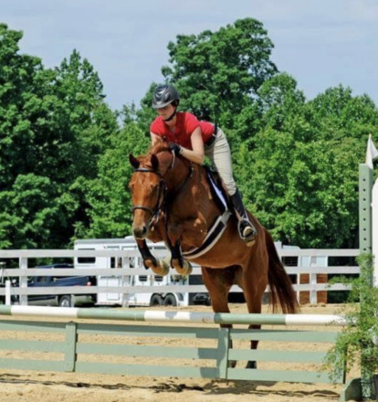 HorseID: 2310733 Jonie - PhotoID: 1095400