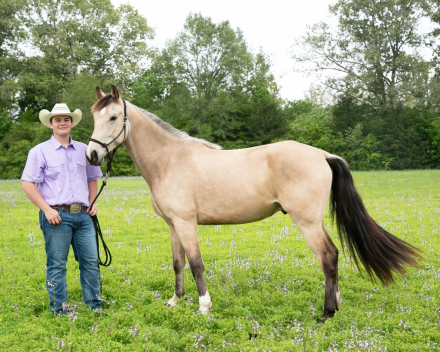 HorseID: 2310739 Jasper - PhotoID: 1095405