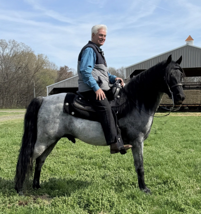 HorseID: 2310741 Strokin After Midnight - PhotoID: 1095413