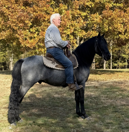 HorseID: 2310741 Strokin After Midnight - PhotoID: 1095414