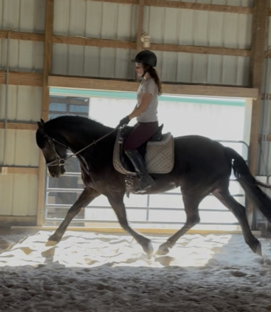 HorseID: 2310742 Demis Day Lilly - PhotoID: 1095420
