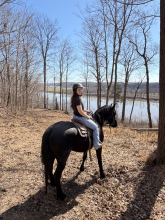 HorseID: 2310742 Demis Day Lilly - PhotoID: 1095421