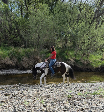 HorseID: 2310755 Emma - PhotoID: 1095438