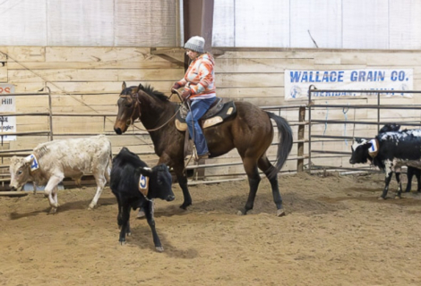 HorseID: 2310766 Keyhole Topgun - PhotoID: 1095457