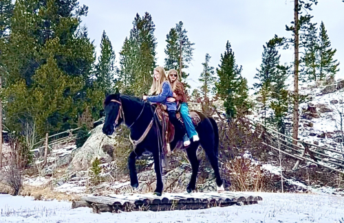 HorseID: 2310775 Jax - PhotoID: 1095471
