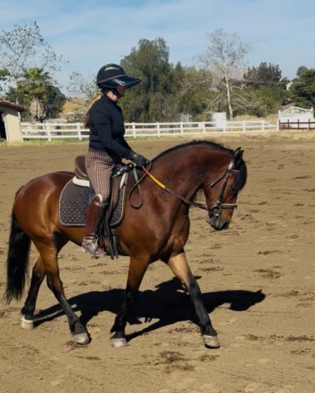 HorseID: 2310789 Penny - PhotoID: 1095484