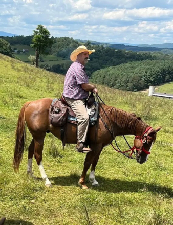 HorseID: 2310799 REMINGTON - PhotoID: 1095517