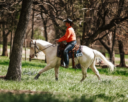HorseID: 2310811 Skip A Gun - PhotoID: 1095508