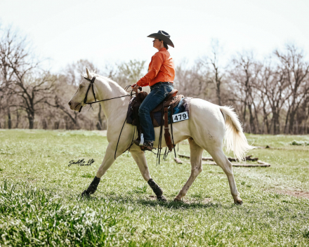 HorseID: 2310811 Skip A Gun - PhotoID: 1095511