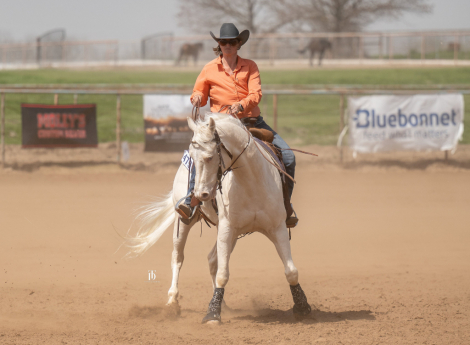 HorseID: 2310811 Skip A Gun - PhotoID: 1095512