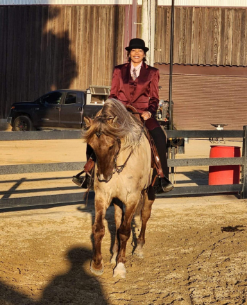 HorseID: 2310827 Sundance - PhotoID: 1095531