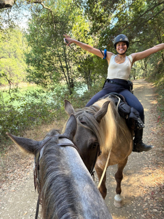 HorseID: 2310827 Sundance - PhotoID: 1095532