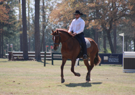 HorseID: 2310872 Leading Rein's Donte - PhotoID: 1095590