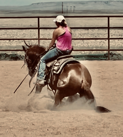 HorseID: 2310880 THIS ONE TIME CAT - PhotoID: 1095599