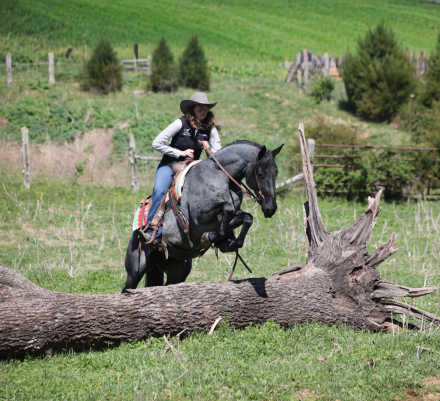 HorseID: 2246724 Huck Finn - PhotoID: 1028752