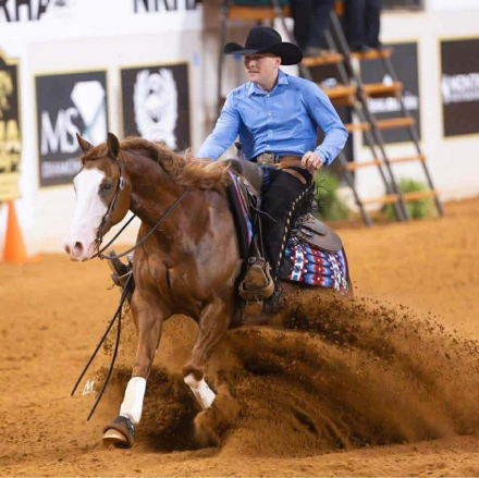 HorseID: 2247446 Infernomischief - PhotoID: 1042236