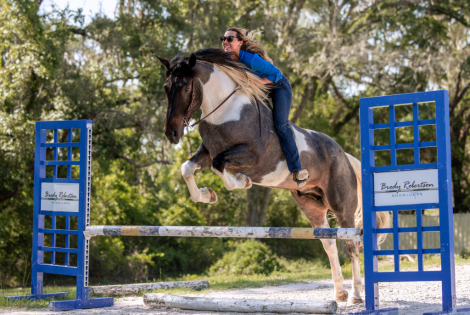HorseID: 2247452 Waylon - PhotoID: 1050212