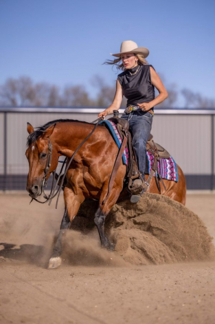 HorseID: 2247455 Reminics Access Code - PhotoID: 1045892